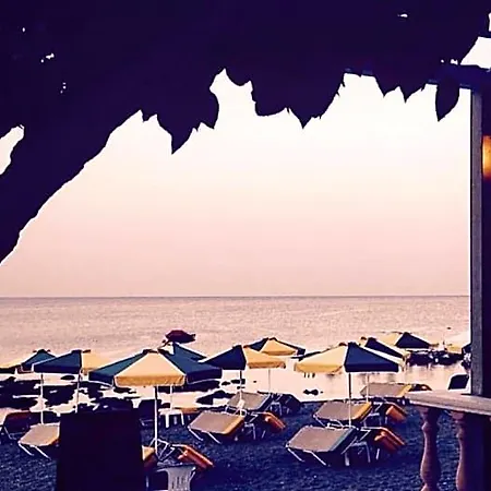 Paradise 팔리라키